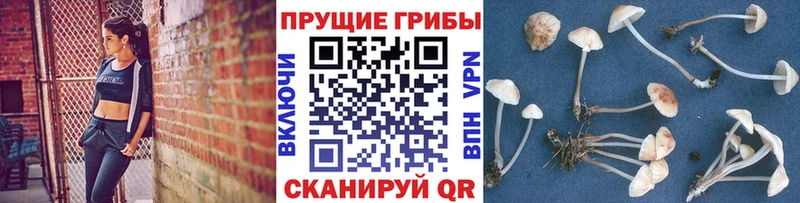 Псилоцибиновые грибы GOLDEN TEACHER  наркота  Игарка 